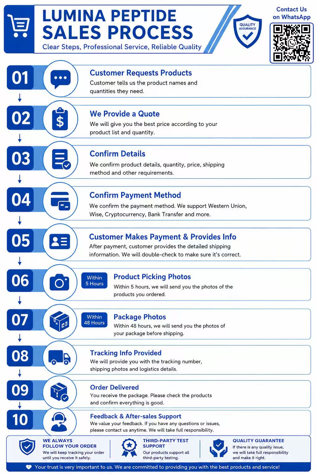 Lumina supplied ten-step sales and service process graphic